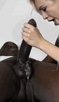 Slicked Up Bbc - Gif Erotic Handjob Tip Rubbing Knob Glan Milking Gif Gifs