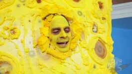 Spongeknob Squarenuts At It Again With The Jokes Gif - Rimjob Blowjob Cumshot Gifs Pornnude Butt Gif