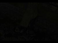 Us Presents Gif - Ass Whipping Gifleah Gotti Shower Gif