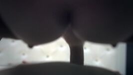 Sue Gif - Pov Froggystyle Gifsass Fuck To Mouth Gif
