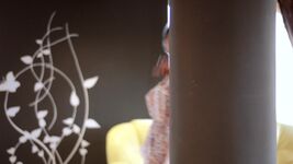 Anisyia Gif - Sex Free Gif